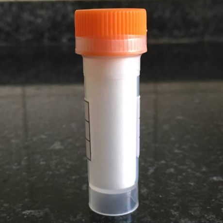 Unlock Youthful Vitality with Myristoyl Octapeptide-1 – Boosted by Multi Collagen Peptides