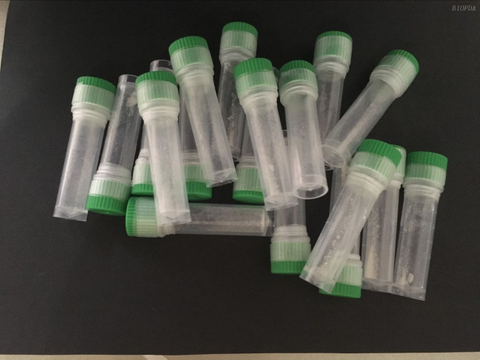 Pentapeptide-21: Advanced Skincare Innovation，Unlock Radiant Skin with Pentapeptide-21: Your Key to Youthful Brilliance